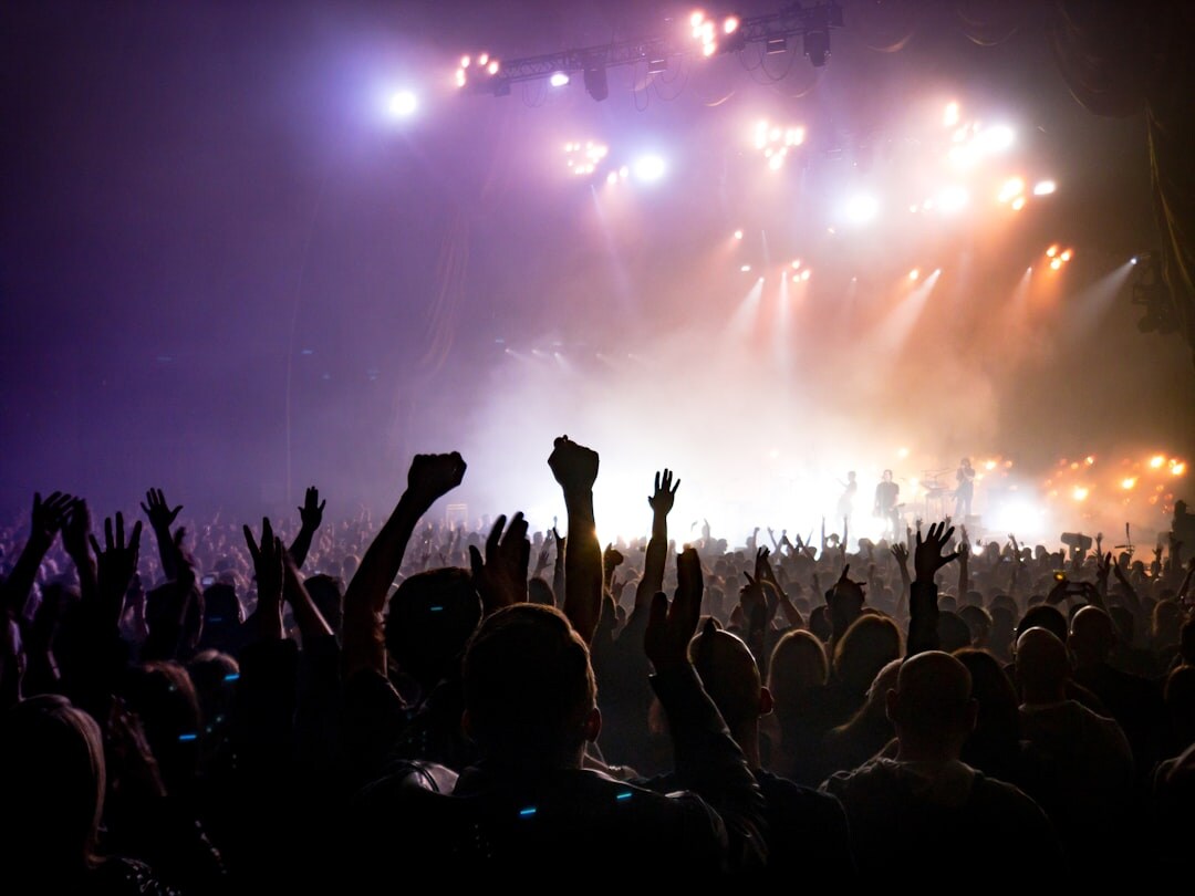 crowd at music event
