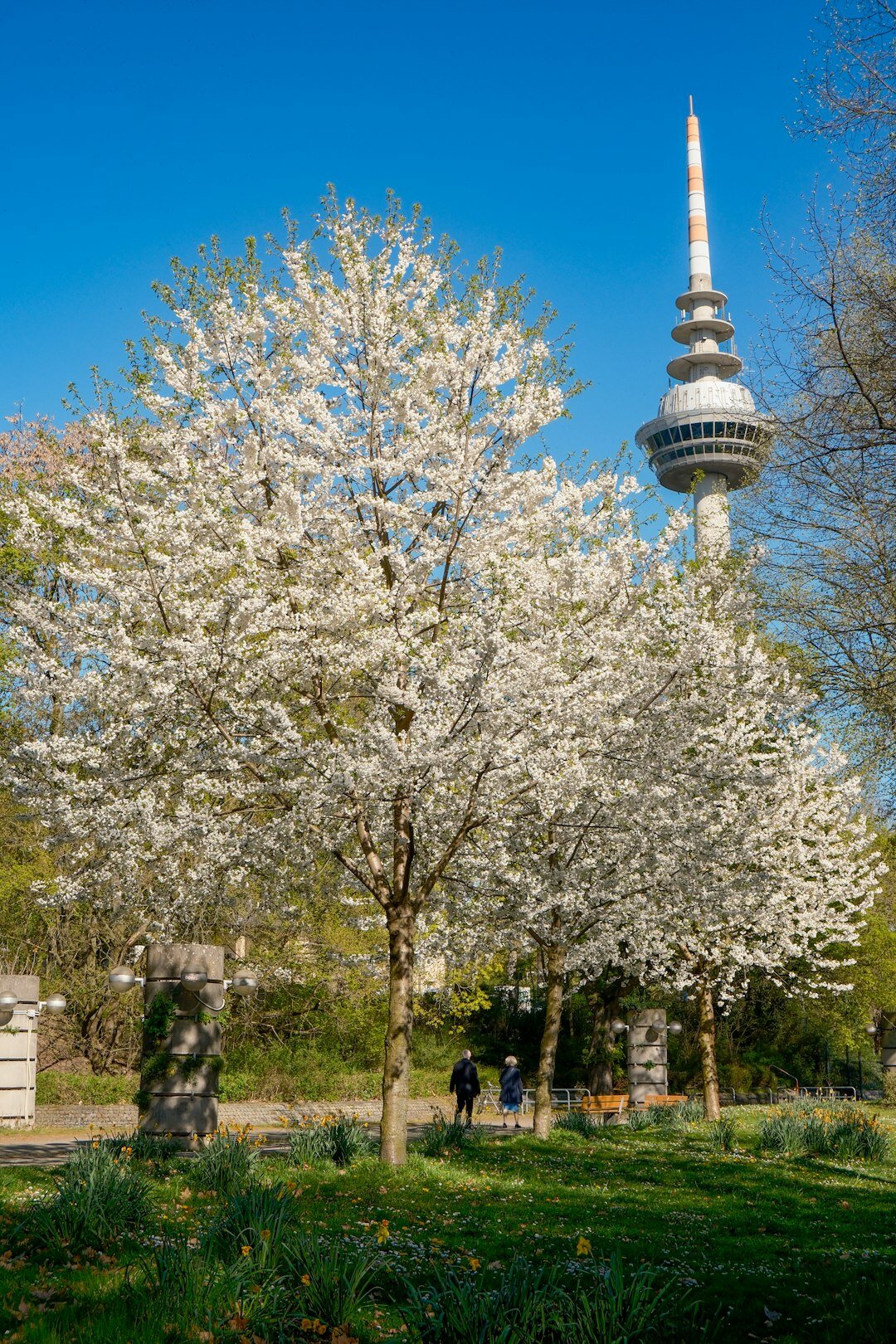 couple walking in city park